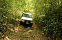 Four Wheel Driving at it's best