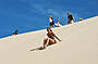 Port Stephens Dolphins & Dunes (J86)