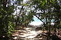 Go Wild 2 Day/1 Night @ Cape Trib Beach House (Dorm Share)