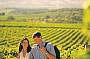 McLaren Vale
