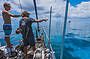 Pointing out the best dive spots