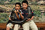 Australia ZOO & Sunshine Coast Hinterland Tour