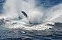 Breach Splashdown