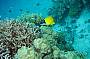 2 Day Trip Referral (not for certified divers or snorkelers) on MV Sun-Kist