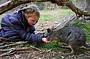 1 Day Puffing Billy, Kangaroos, Koalas and Penguins Tour