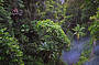 2 Day Reef & Rainforest Package